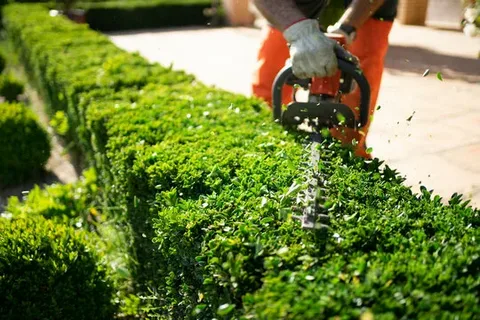 Customized Yard Maintenance Near Me to Fit Your Needs