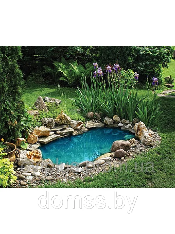 Expert Care for Your Garden with Professional Pond Cleaning Essex